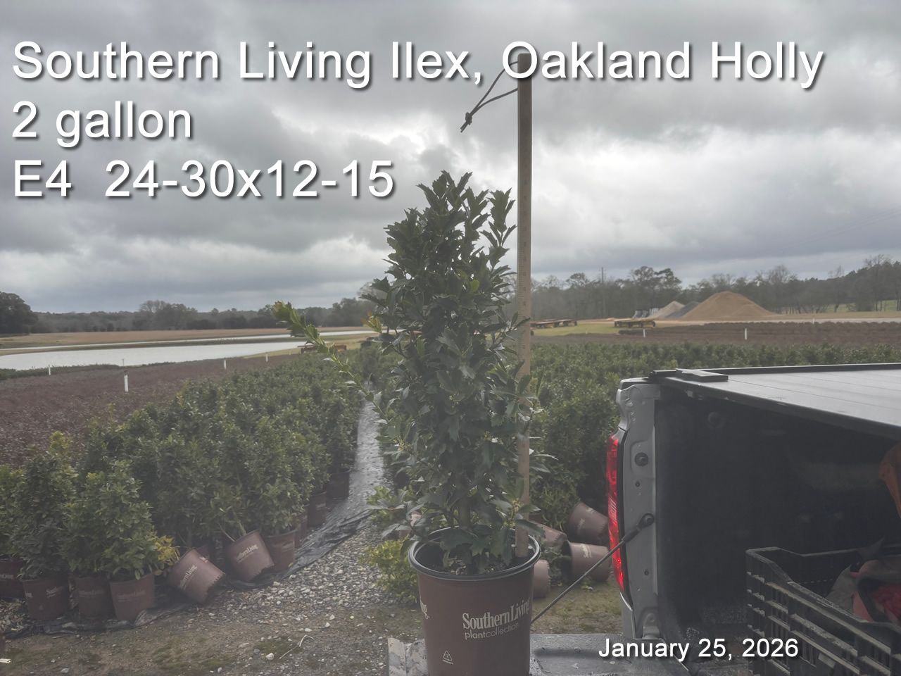 gallery/sliol2 e4 jan25.jpg